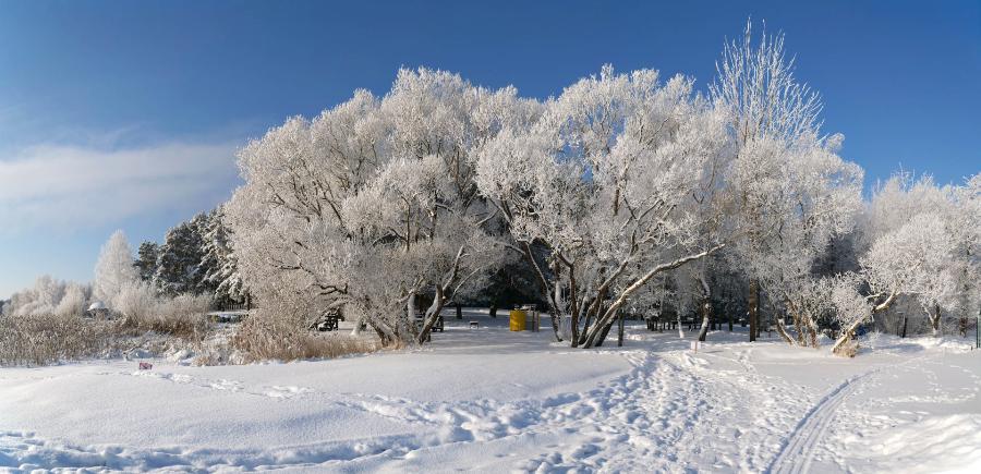 Суббота 17.01 выходной